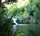 Water falls, rainforest walks